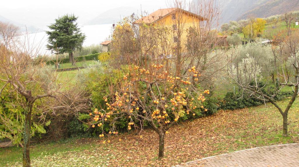 Solto Collina B&B Garden מראה חיצוני תמונה